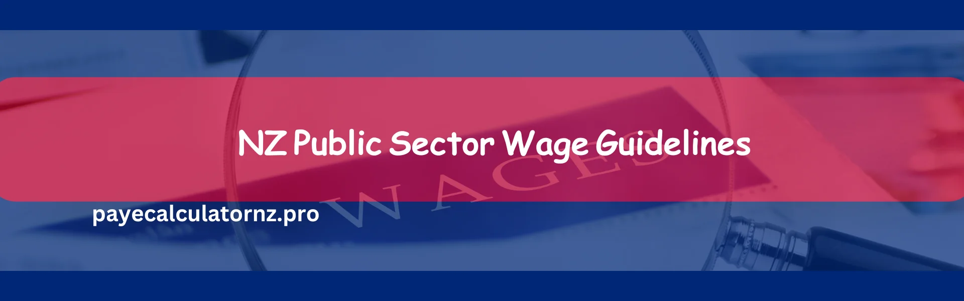 NZ Public Sector Wage Guidelines